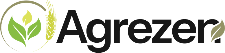 Pulse Of The Blogosphere